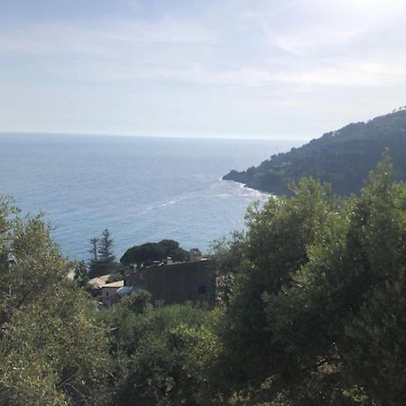 Casa Orchidea - Vista Mare Meravigliosa Бонассола Экстерьер фото