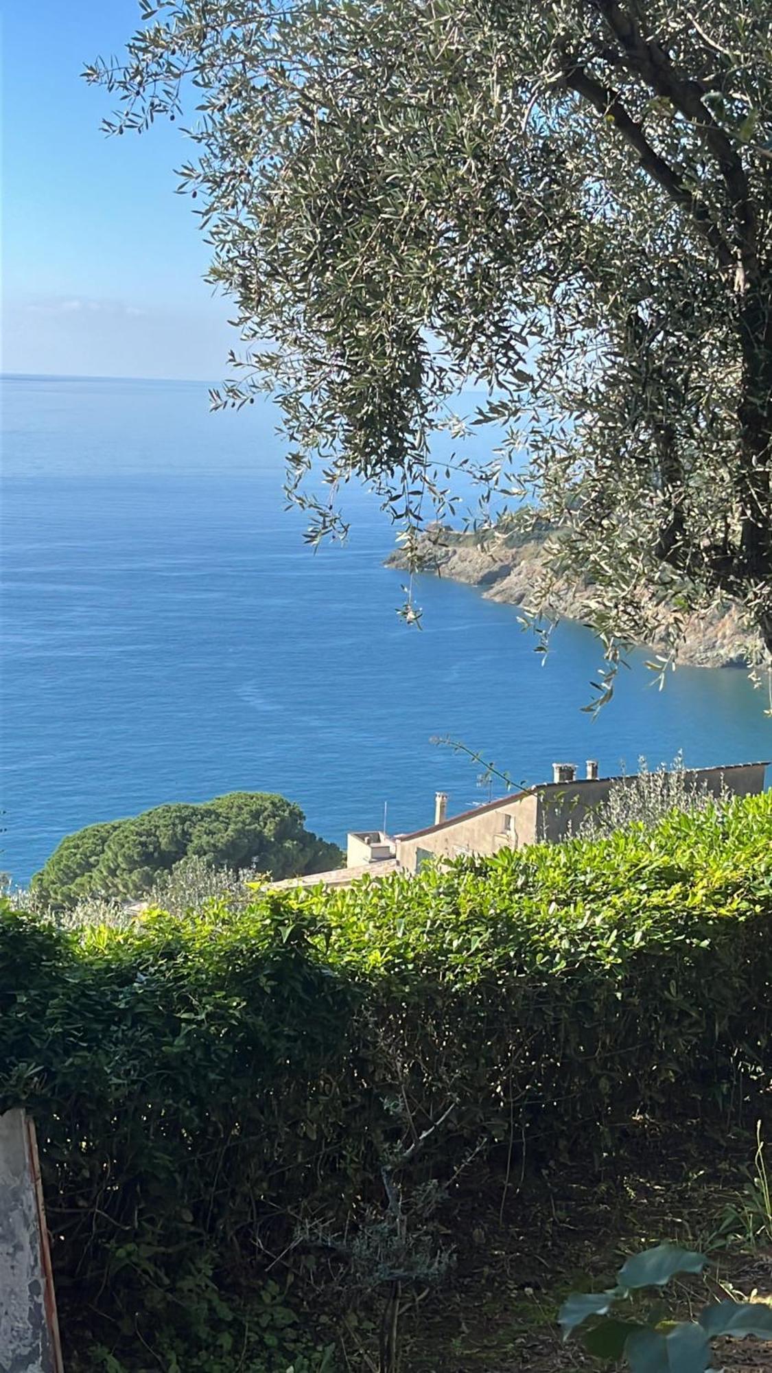 Casa Orchidea - Vista Mare Meravigliosa Бонассола Экстерьер фото