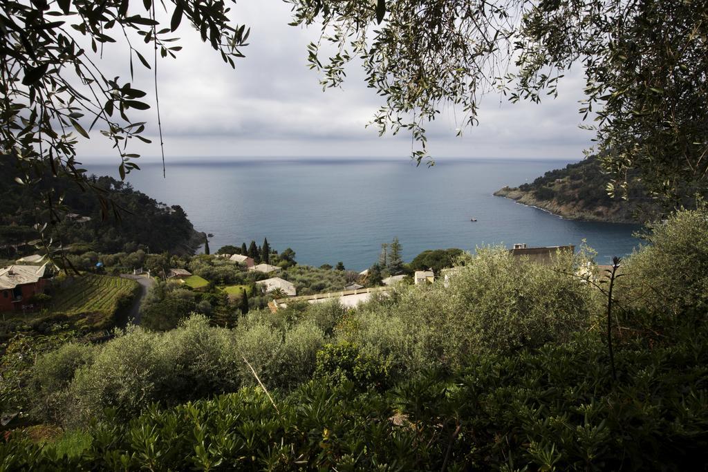 Casa Orchidea - Vista Mare Meravigliosa Бонассола Номер фото
